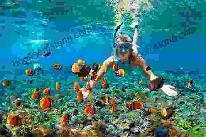 A Couple Snorkeling Amidst Vibrant Coral Reefs In The Caribbean Sea Comfortable Cruising: Around North And Central America