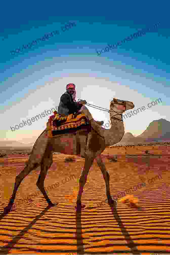 A Humorous Depiction Of A Camel Ride In The Jordanian Desert Falafels And Bedouins: A Humorous Travel Memoir Of A Holiday In Israel And Jordan (Travel Tales 2)