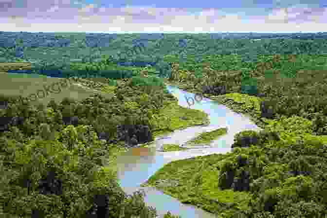 A Lush, Green Rainforest With Tall Trees And A Winding River. The Boiling River: Adventure And Discovery In The Amazon (TED Books)