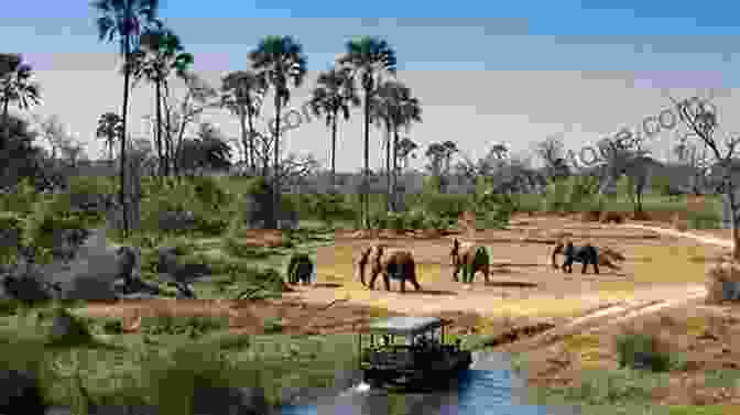 Botswana Landscape With Elephants African Adventurer S Guide: Botswana Rick Steves