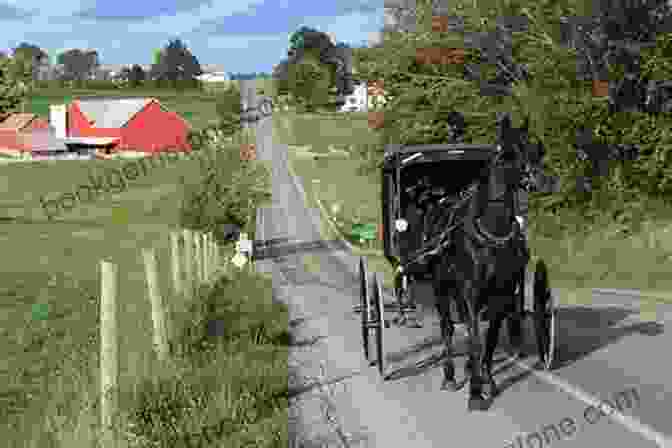 Buggy Ride 100 Things To Do In Ohio S Amish Country Before You Die