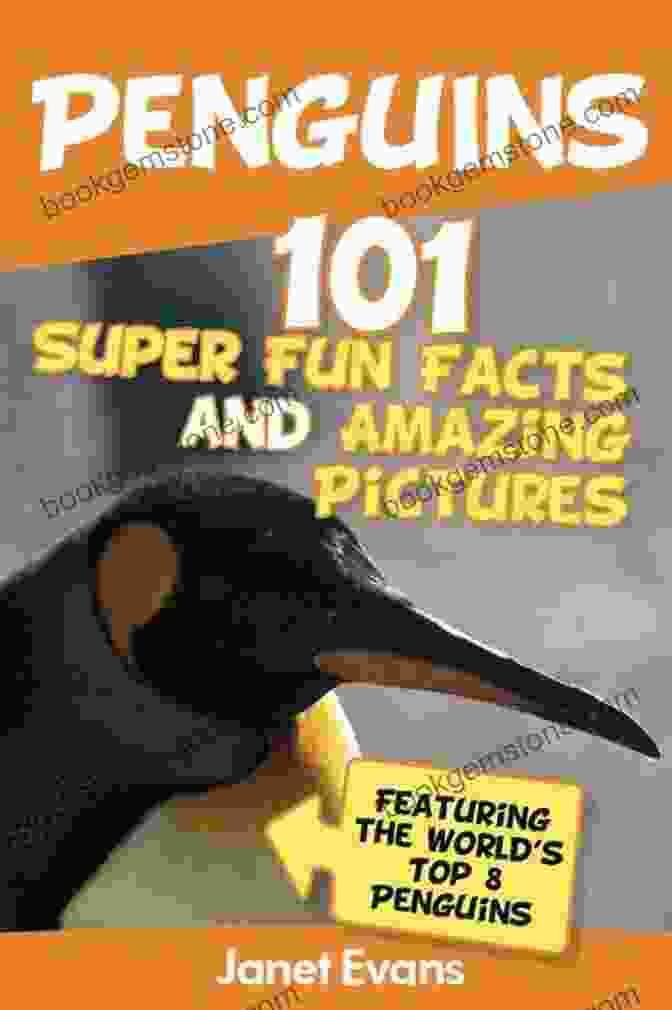 Elegant King Penguin Penguins: 101 Fun Facts Amazing Pictures (Featuring The World S Top 8 Penguins)