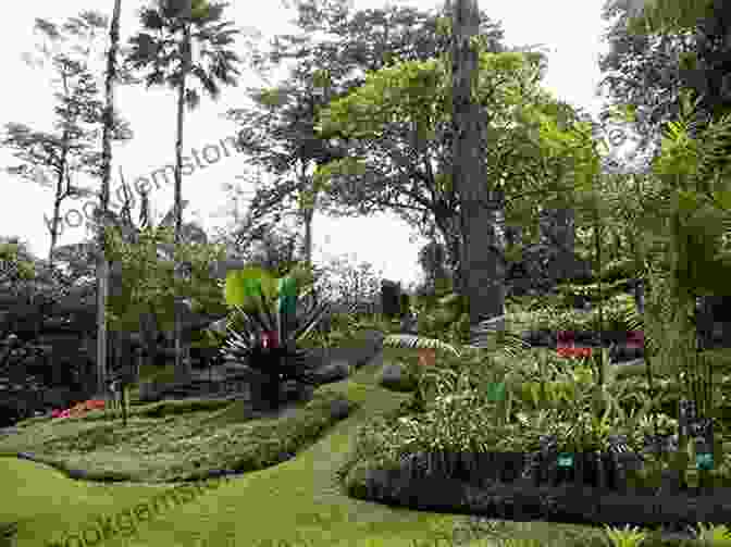 Grecia Botanical Garden Grecia Costa Rica: A Guide To The Central Valley Town Of Grecia