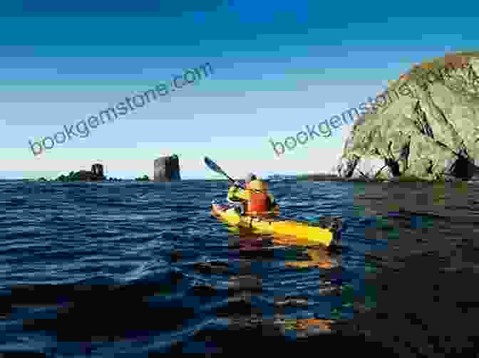 Kayaking In Newfoundland And Labrador Newfoundland And Labrador Of Everything