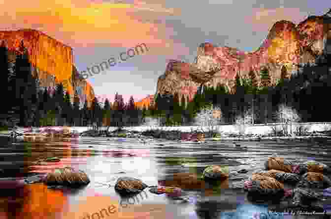 Nature Photography In The National Parks Yellowstone Treasures: The Traveler S Companion To The National Park