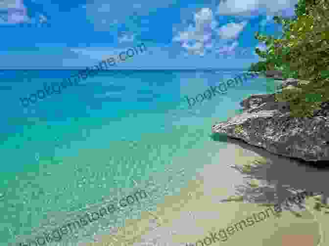 Sunbathing On The Pristine White Sands Of Barbados Bu Bu Barbados Bu N Bu N: My Culinary Adventure: Volume II