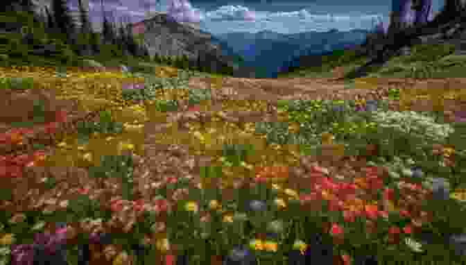 Vibrant Wildflowers Bloom Along The Banks Of A Crystal Clear Mountain Stream, Creating A Kaleidoscope Of Colors Against The Backdrop Of Towering Peaks. Mountain Magic Photography: Glacier National Park