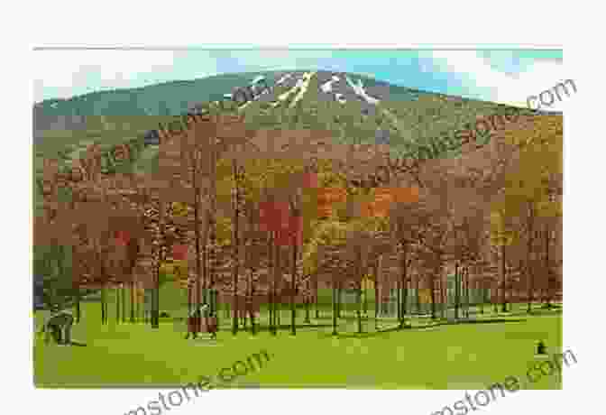 Vintage Postcard Of Stratton Mountain And Mount Snow, Two Iconic Ski Areas From Southern Vermont's Golden Age. Lost Ski Areas Of Southern Vermont