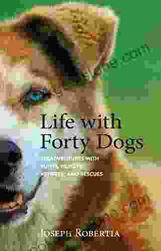 Life With Forty Dogs: Misadventures With Runts Rejects Retirees And Rescues