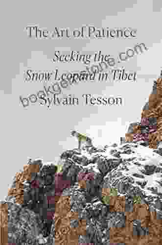 The Art Of Patience: Seeking The Snow Leopard In Tibet